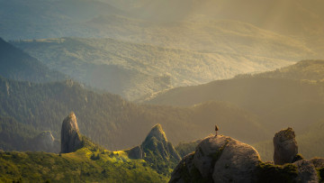 O NAS, czyli jak powstała firma BIZNES INSPIRACJE